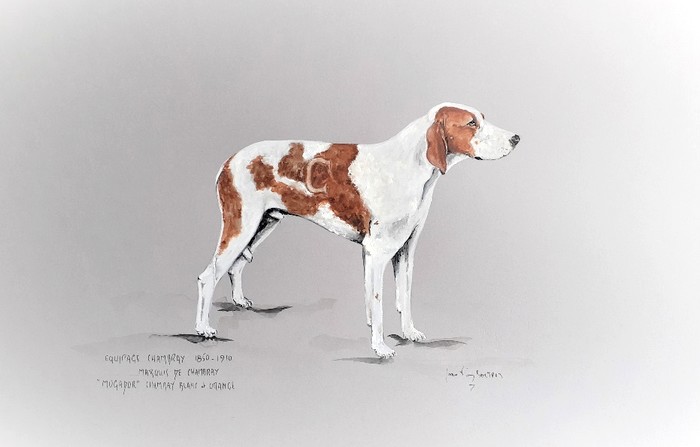 Mogador, chien Chambray par Jean-Pierre Boitard - Don de l'artiste à la Société de Vènerie